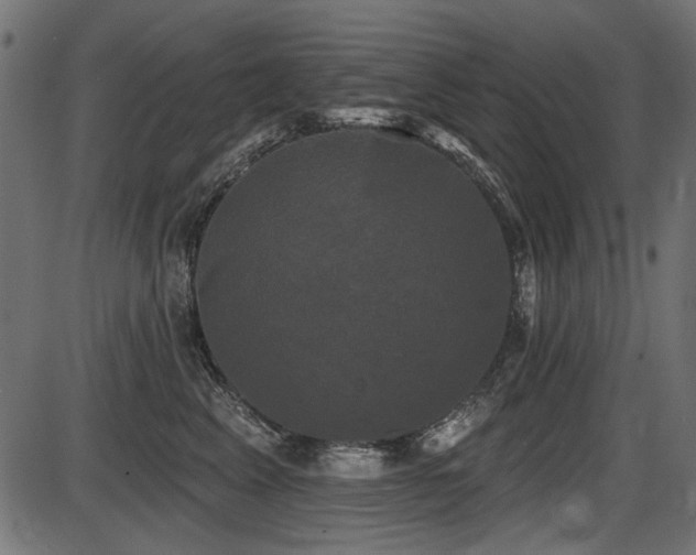 X0000087630617200705031447