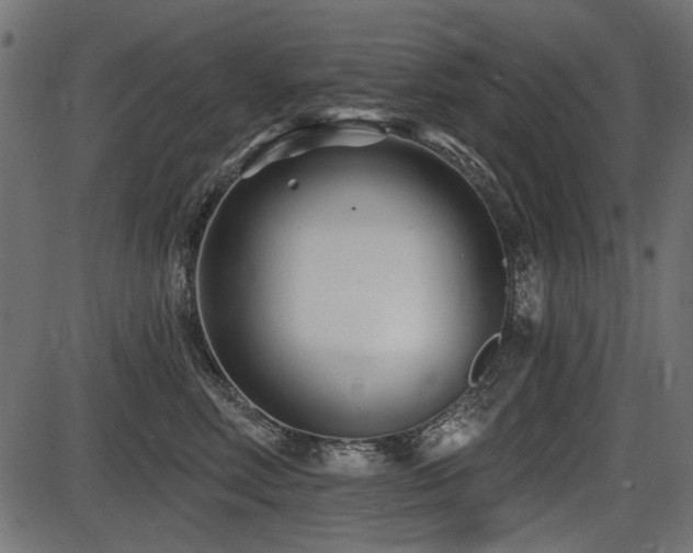 X0000087630618200705031447