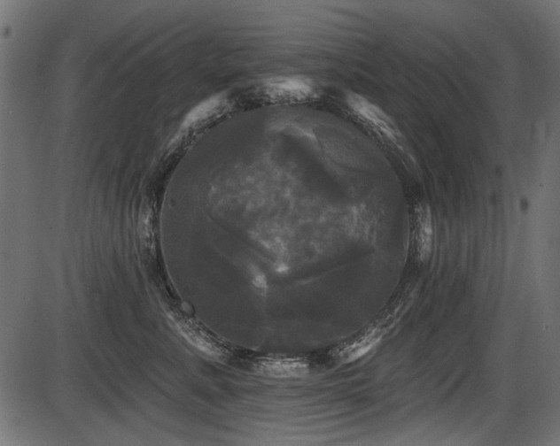 X0000087630619200705031447
