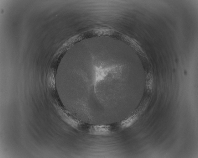 X0000087630622200705031447
