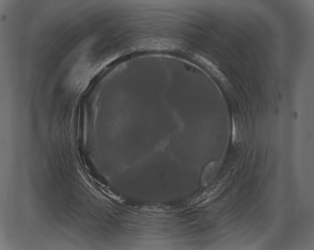 X0000087630627200705031446