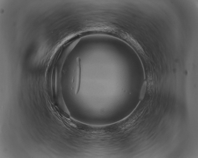X0000087630628200705031446