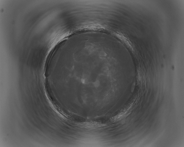 X0000087630630200705031446