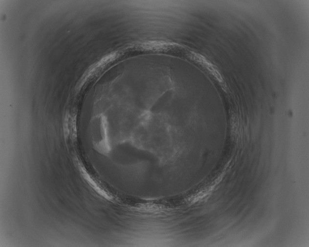 X0000087630633200705031446