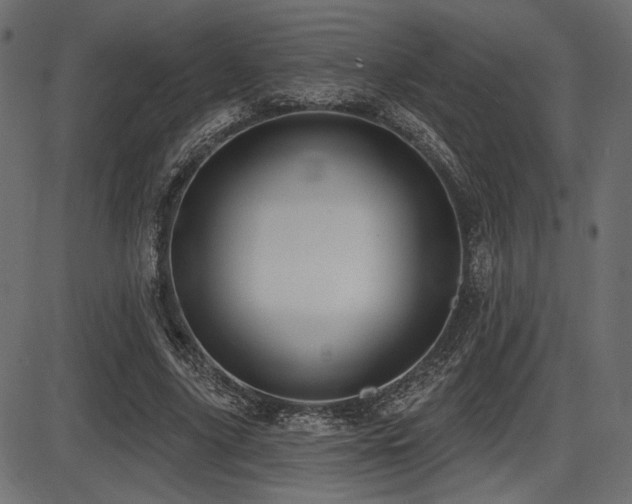 X0000087630635200705031446
