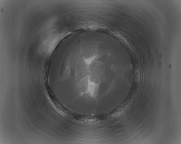 X0000087630638200705031446