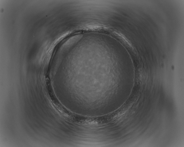 X0000087630640200705031446