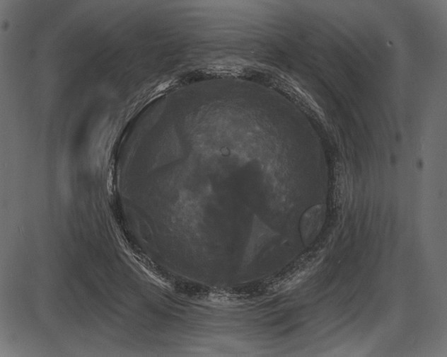 X0000087630641200705031446
