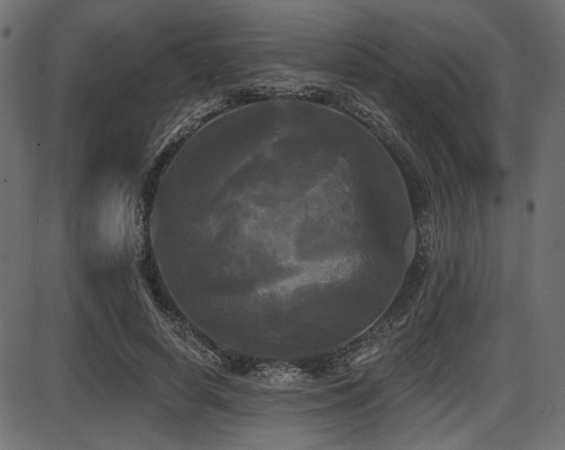 X0000087630642200705031446