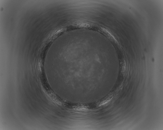 X0000087630643200705031446