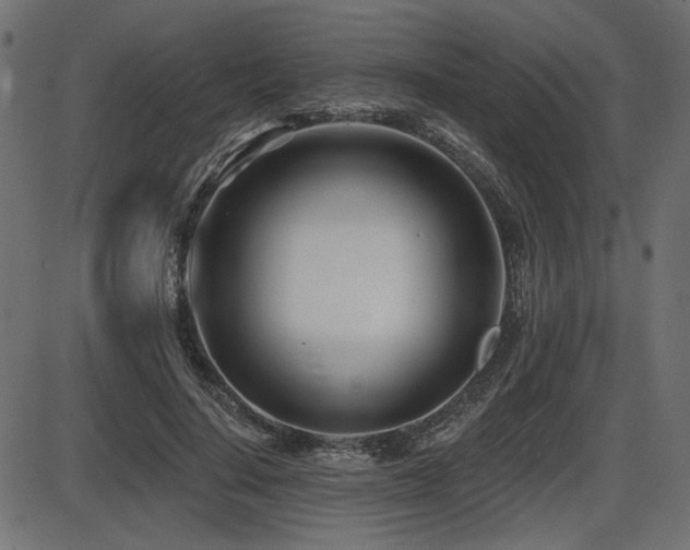 X0000087630644200705031446