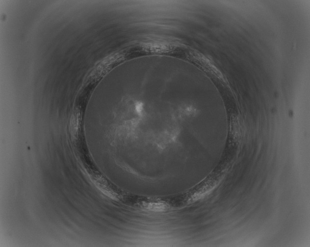 X0000087630645200705031446