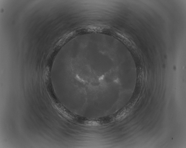 X0000087630649200705031446