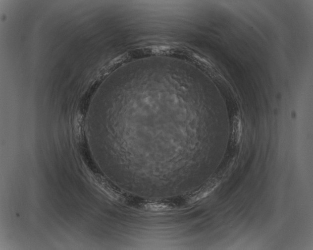 X0000087630650200705031446