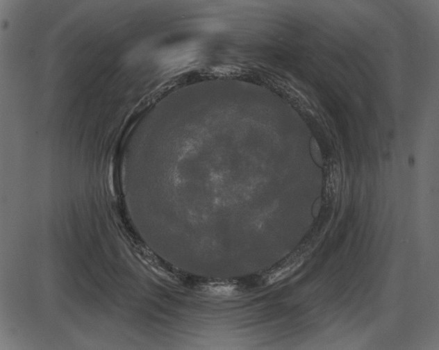 X0000087630651200705031446