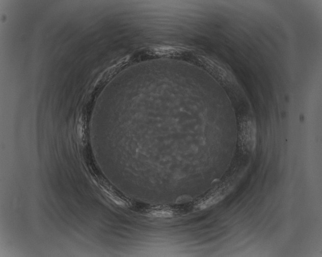 X0000087630653200705031446