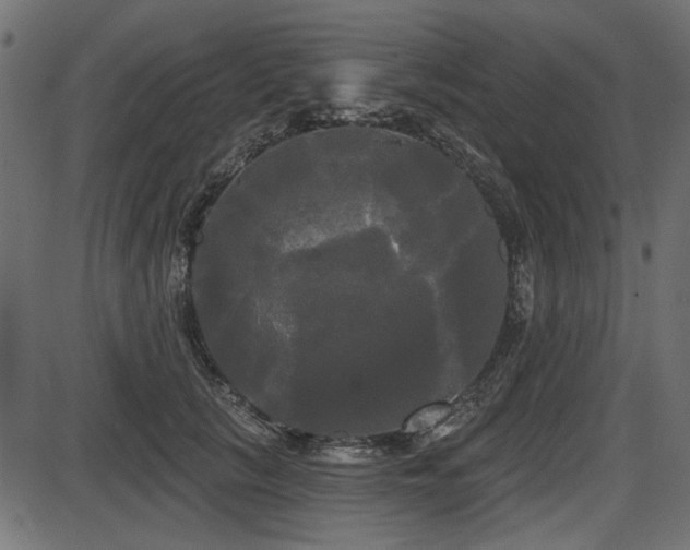 X0000087630657200705031447