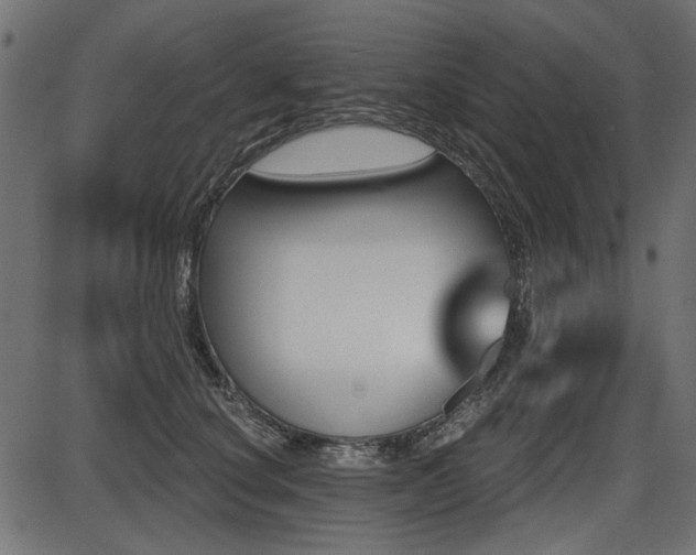 X0000087630660200705031447