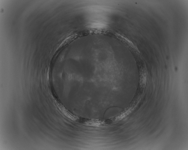 X0000087630661200705031447