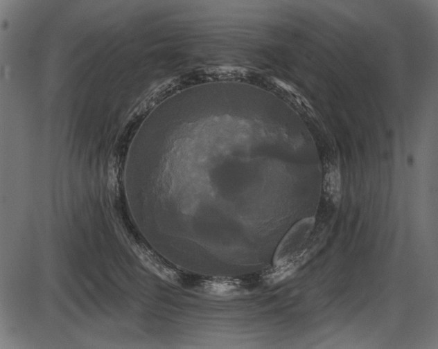 X0000087630662200705031447