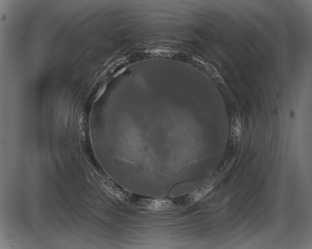 X0000087630663200705031447