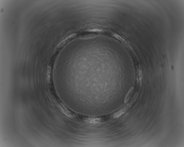 X0000087630664200705031447