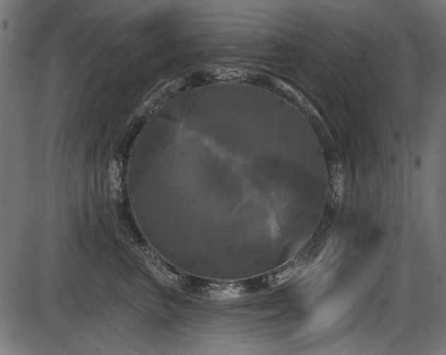 X0000087630667200705031447