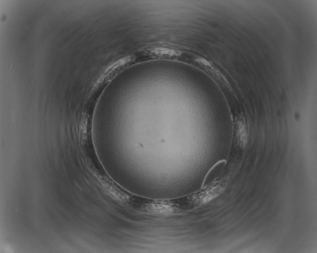 X0000087630668200705031447