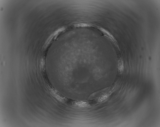 X0000087630669200705031447
