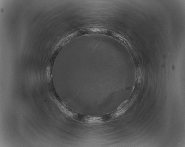 X0000087630670200705031447