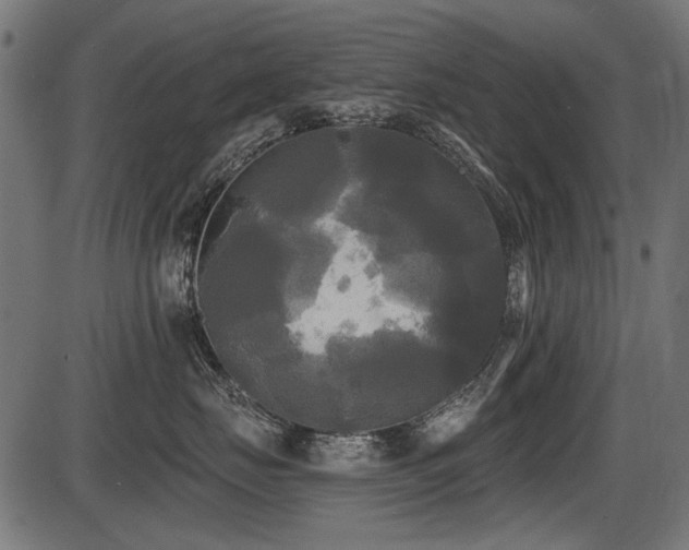 X0000087630671200705031447