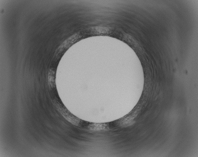X0000087630672200705031447