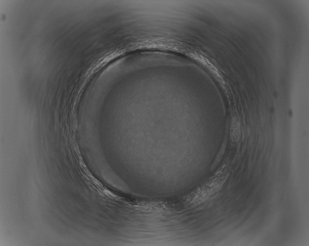 X0000087630673200705031446