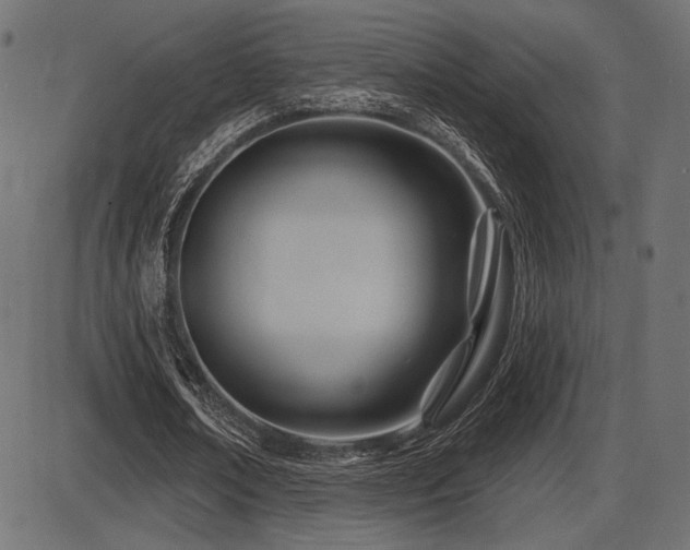 X0000087630674200705031446