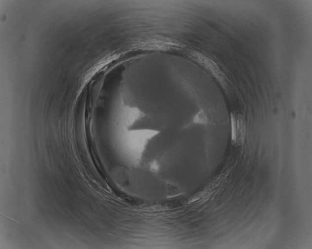 X0000087630675200705031446