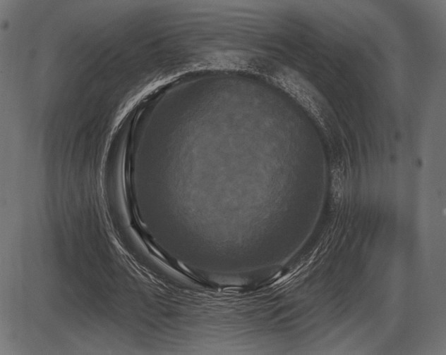 X0000087630676200705031446