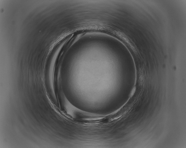 X0000087630677200705031446