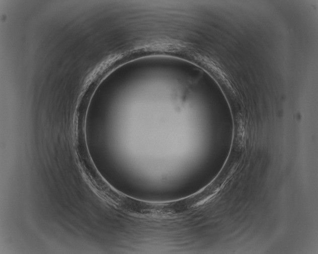 X0000087630678200705031446