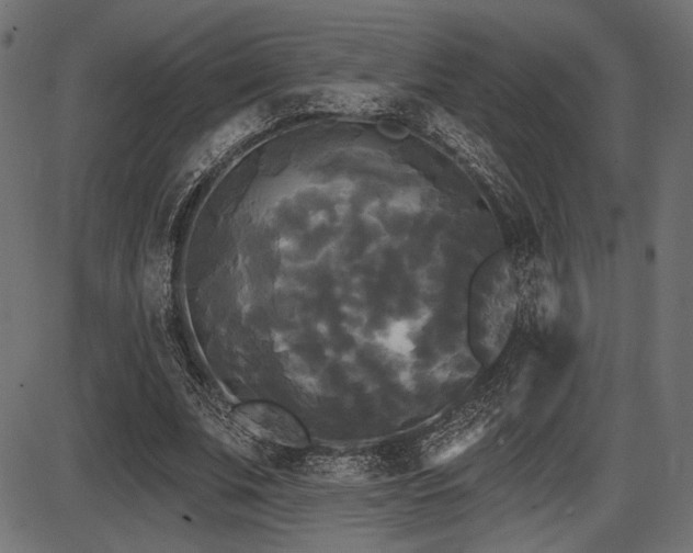 X0000087630679200705031446