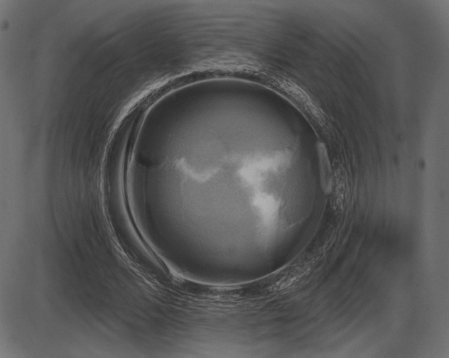 X0000087630680200705031446