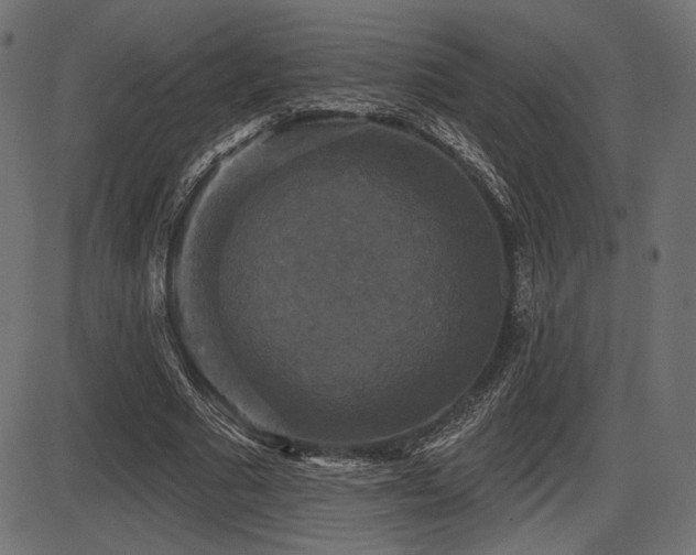 X0000087630681200705031446
