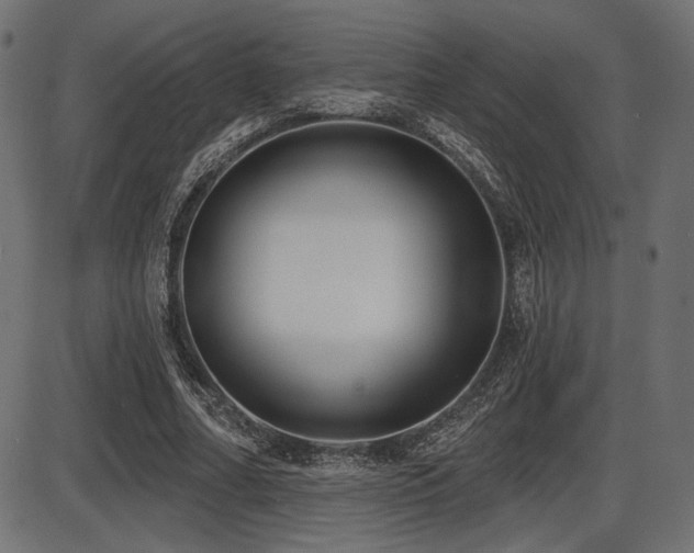 X0000087630682200705031446
