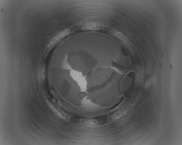 X0000087630683200705031446