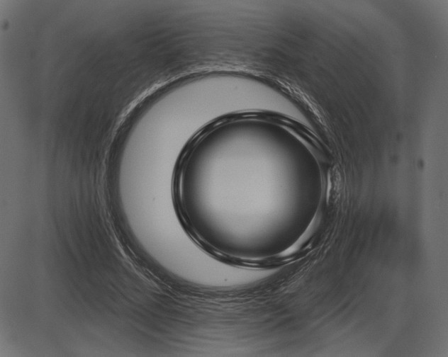 X0000087630684200705031446