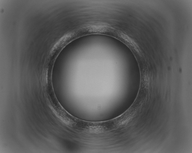 X0000087630686200705031446