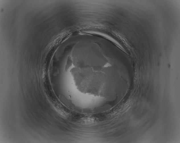 X0000087630687200705031446