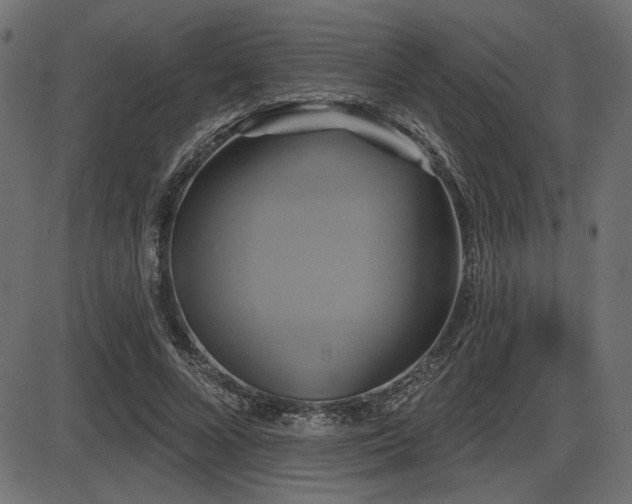 X0000087630688200705031446