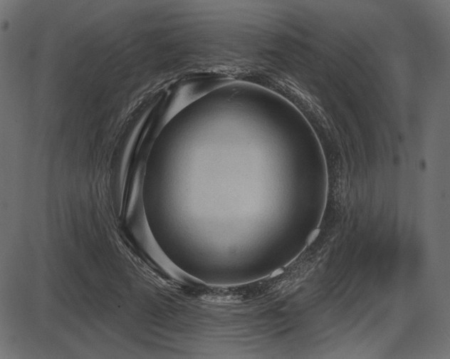 X0000087630689200705031446