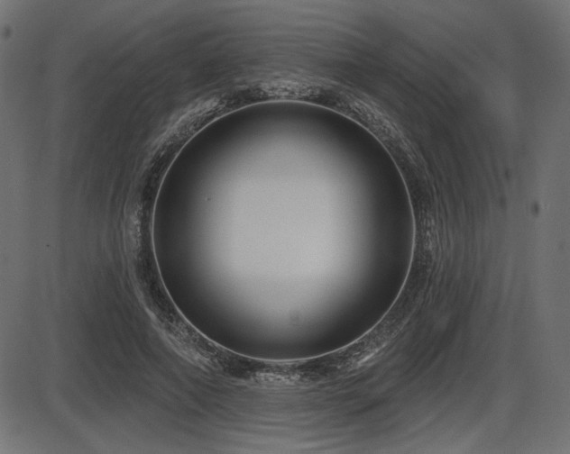 X0000087630690200705031446