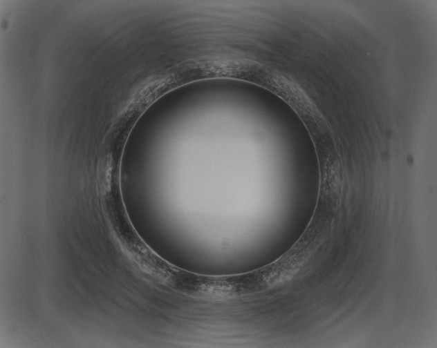 X0000087630694200705031446